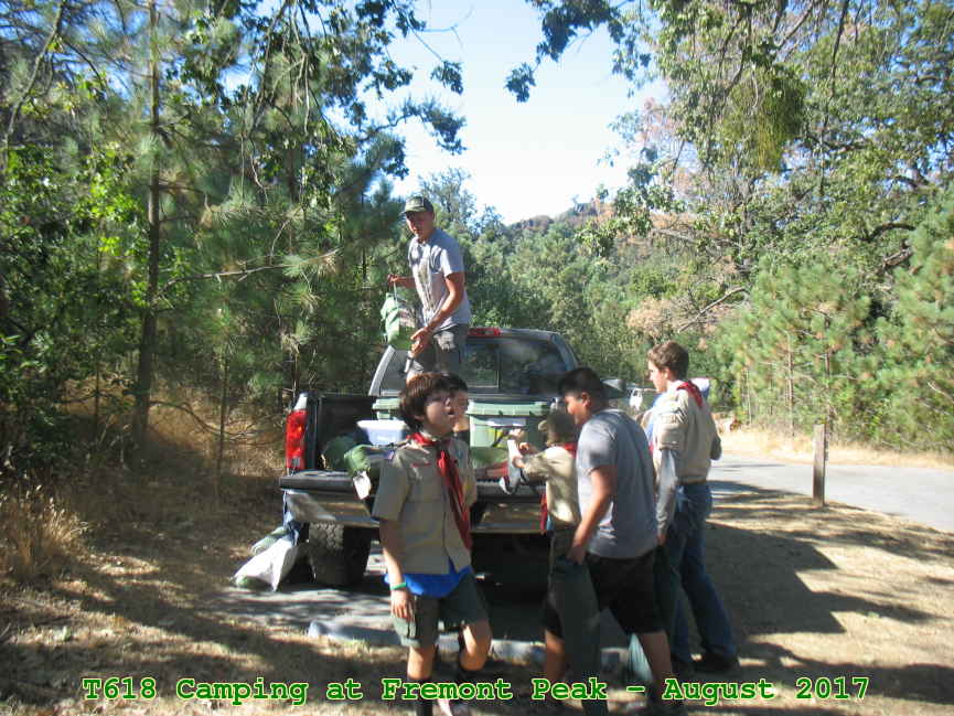 Picture 0037