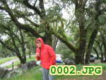 Picture 0002