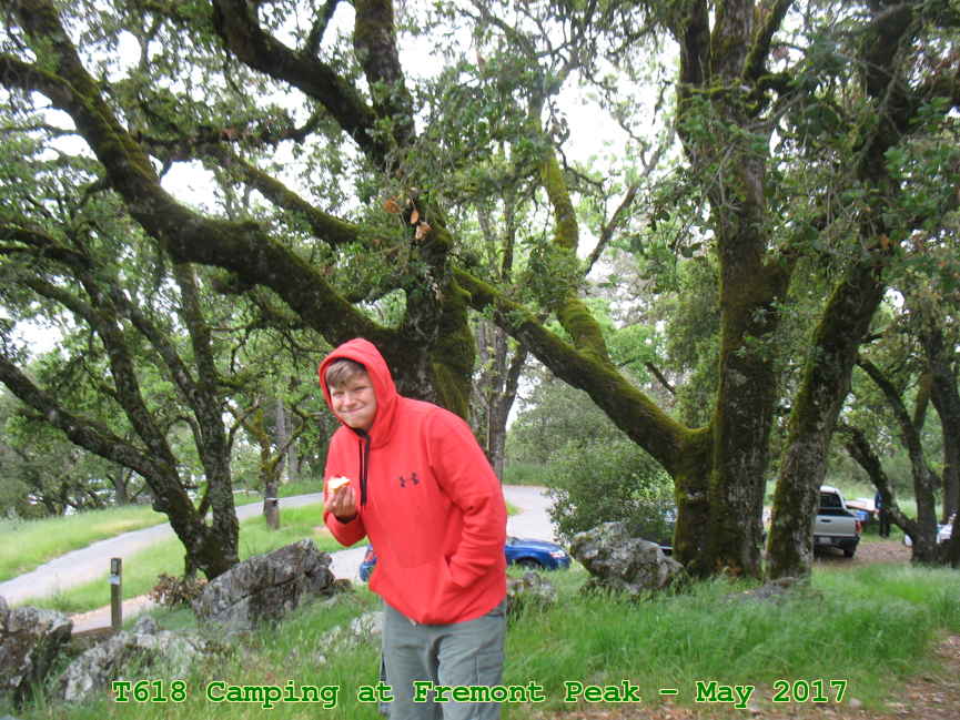 Picture 0002