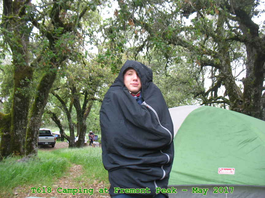 Picture 0003