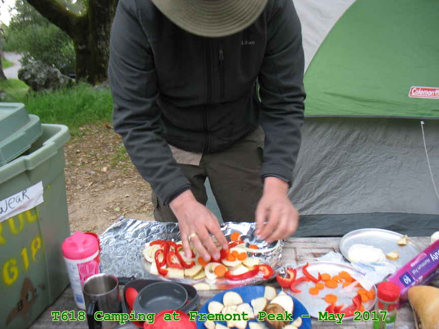 Picture 0009