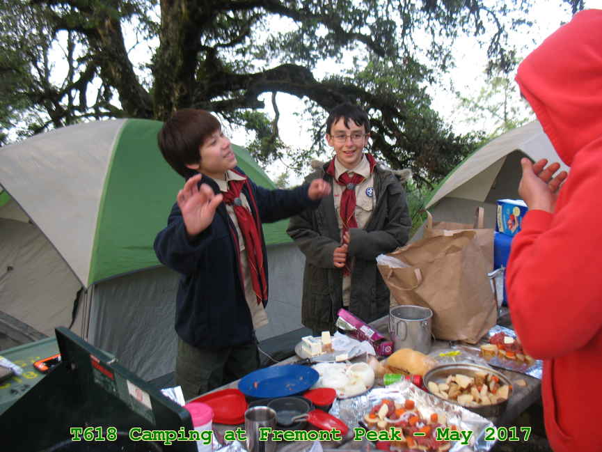 Picture 0012