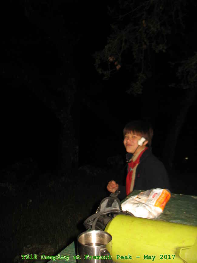 Picture 0019