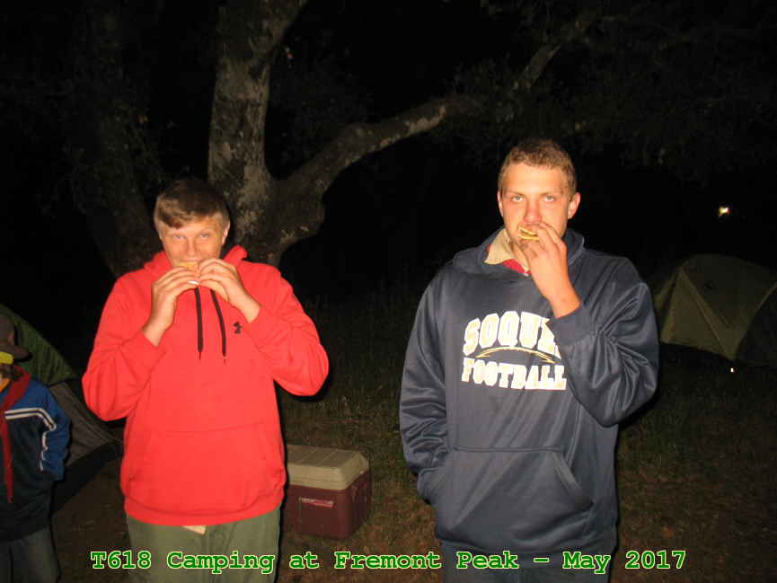 Picture 0020