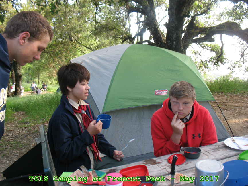 Picture 0022