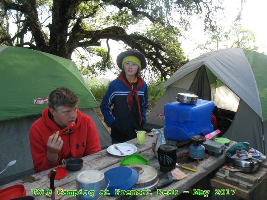 Picture 0024