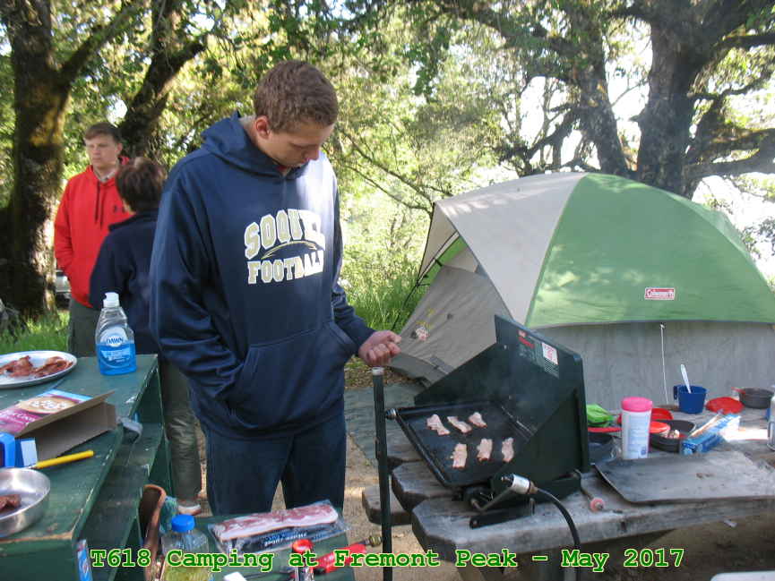 Picture 0028