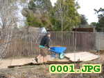 Picture 0001
