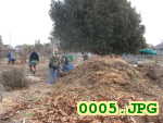 Picture 0005