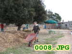 Picture 0008