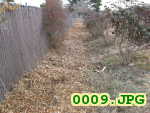 Picture 0009