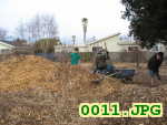 Picture 0011