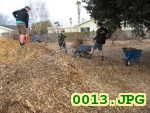 Picture 0013