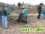 Picture 0017