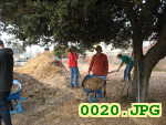 Picture 0020