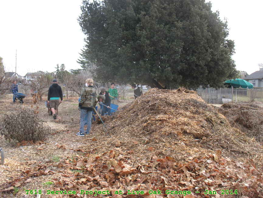 Picture 0005
