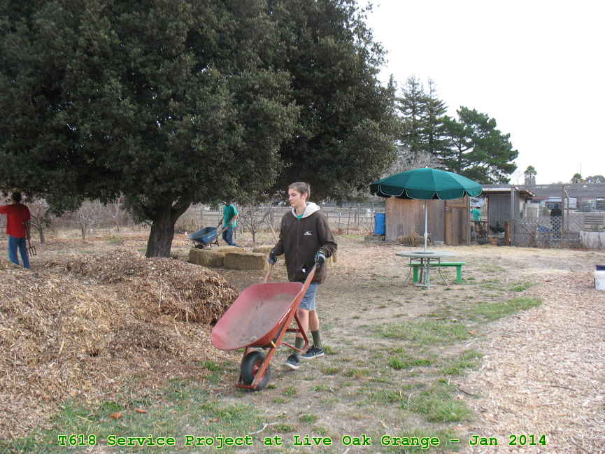 Picture 0008