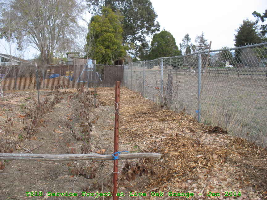 Picture 0010