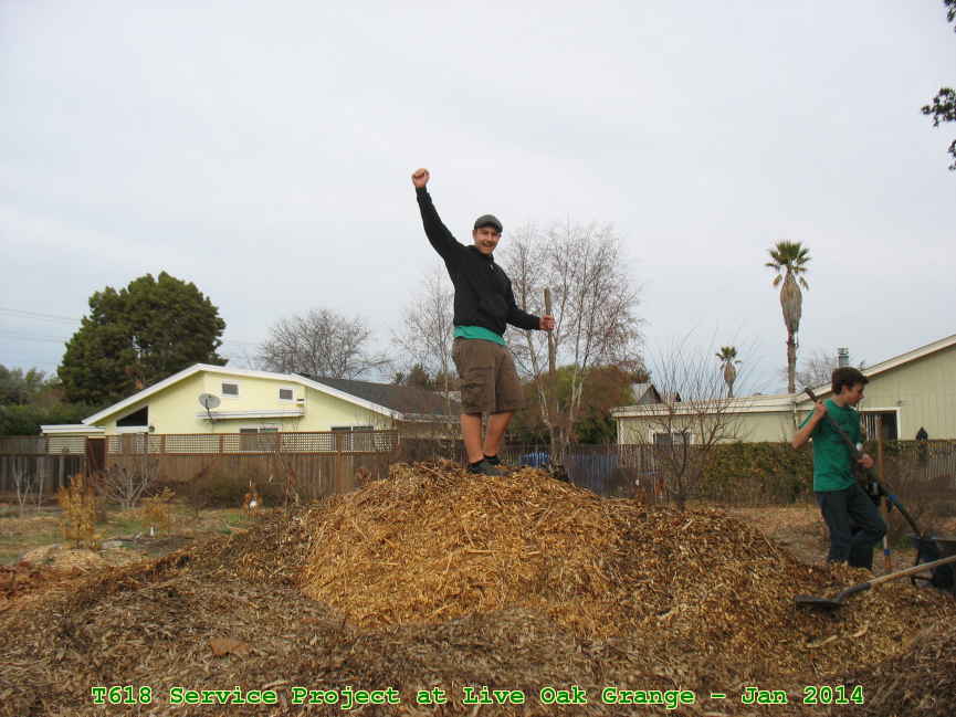 Picture 0012