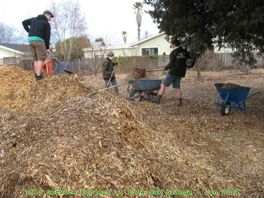 Picture 0013