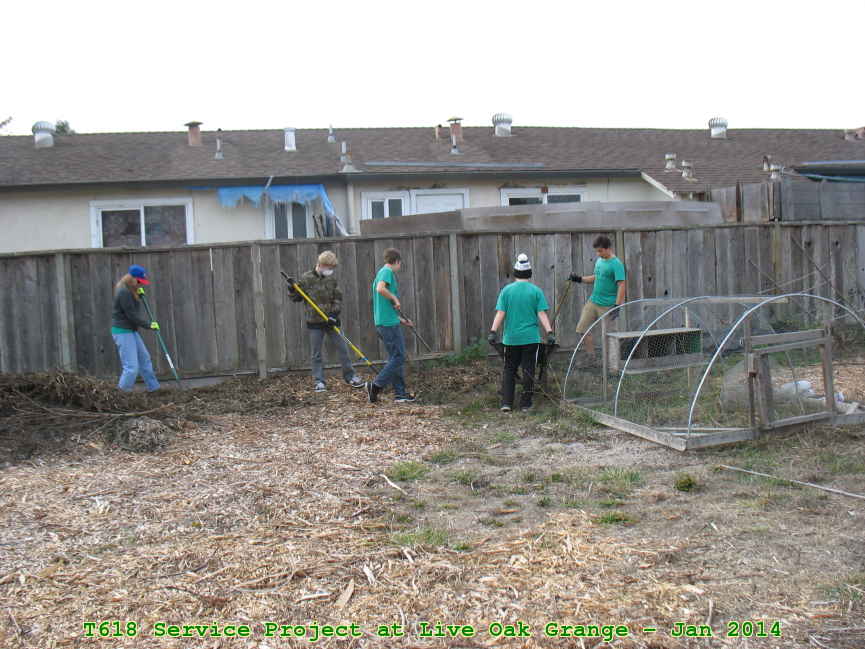 Picture 0016