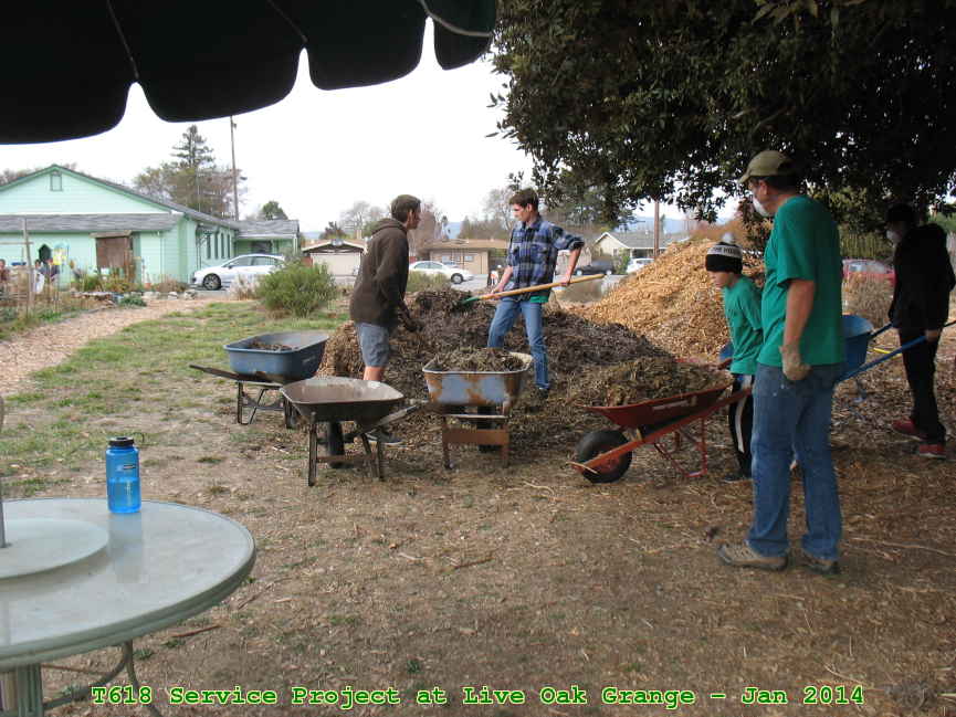Picture 0018