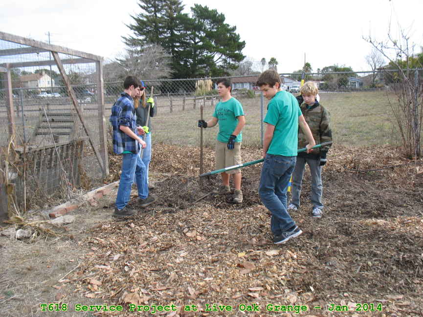 Picture 0021