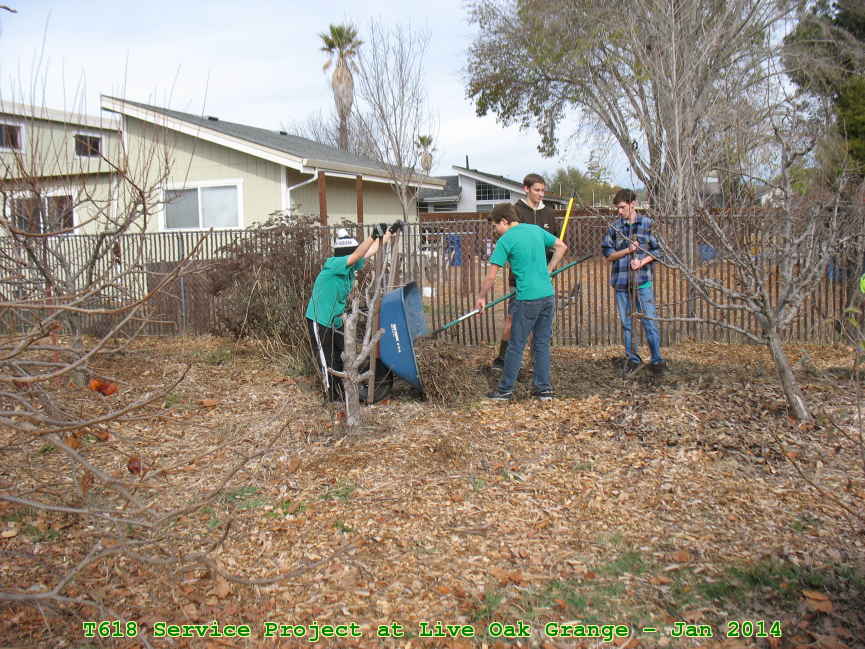 Picture 0022
