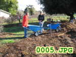 Picture 0005