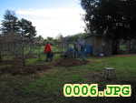 Picture 0006