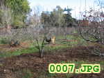 Picture 0007