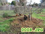 Picture 0008