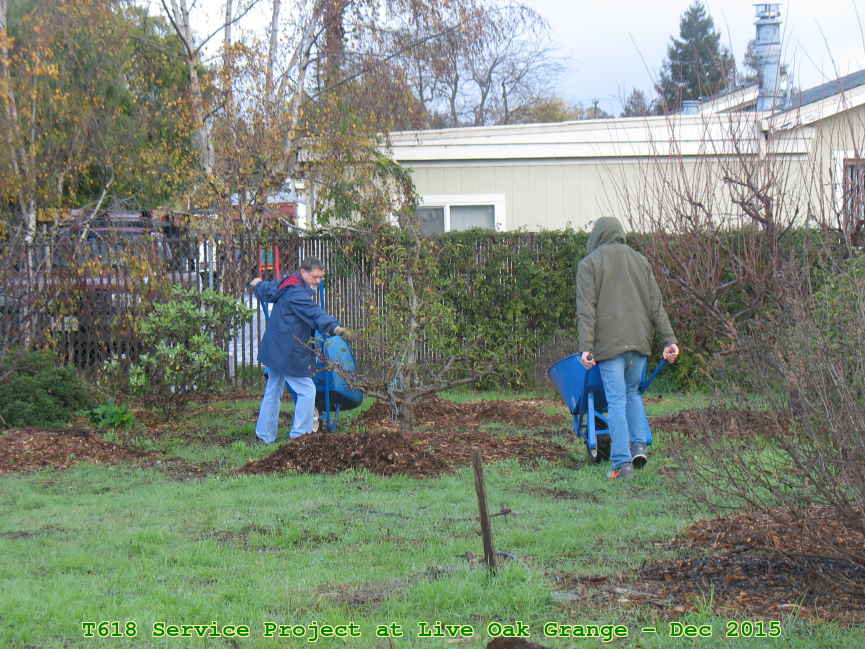 Picture 0002