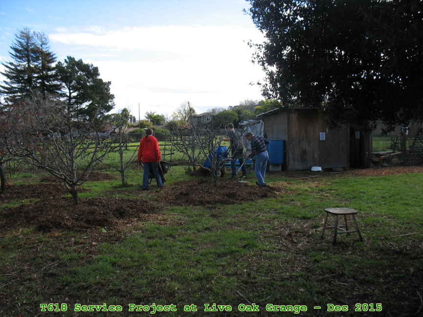 Picture 0006
