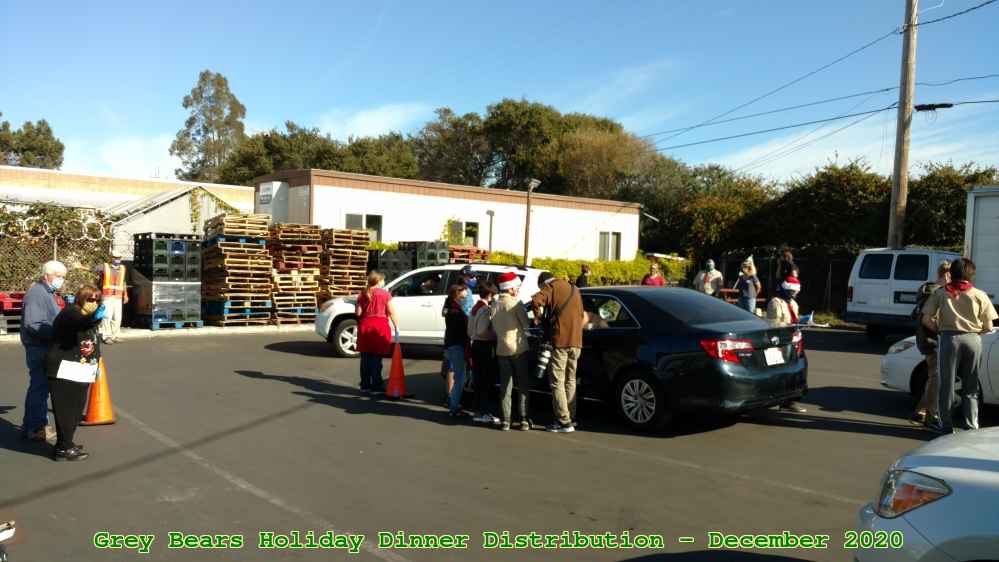 Picture 0017