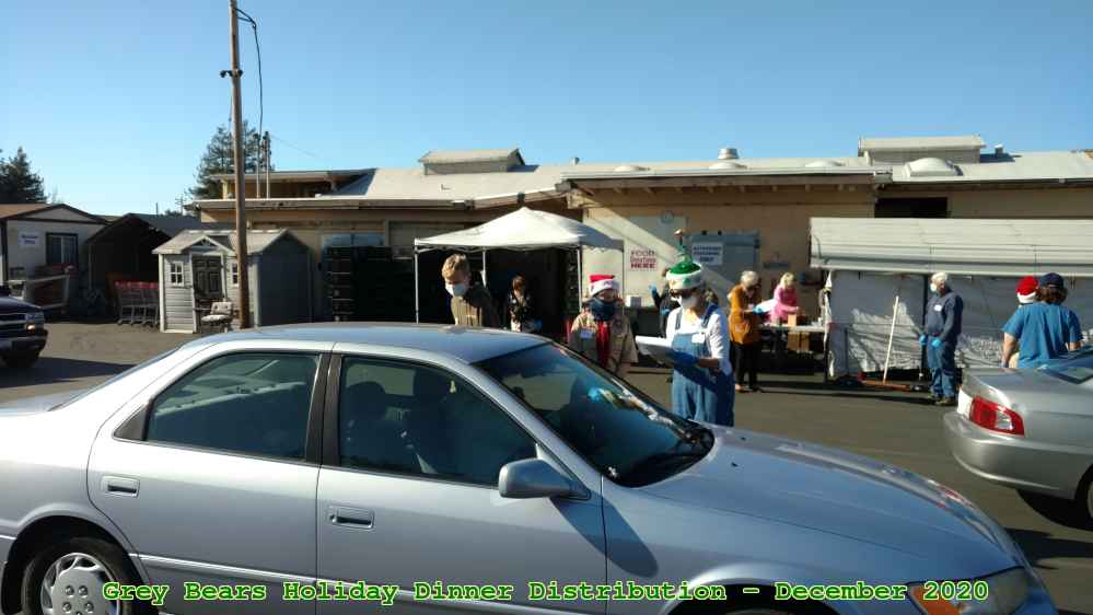 Picture 0018
