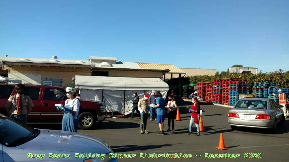 Picture 0019