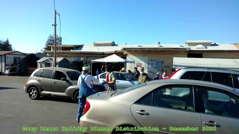 Picture 0020