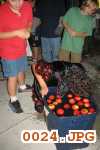 Picture 0024
