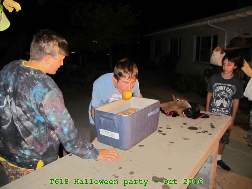 Picture 0009