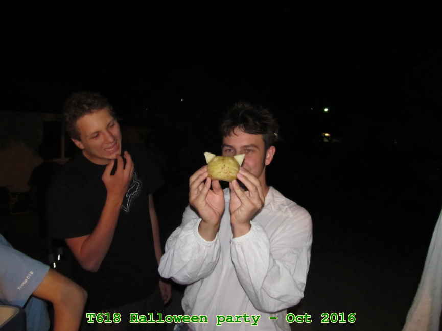 Picture 0010