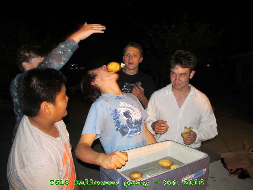 Picture 0011