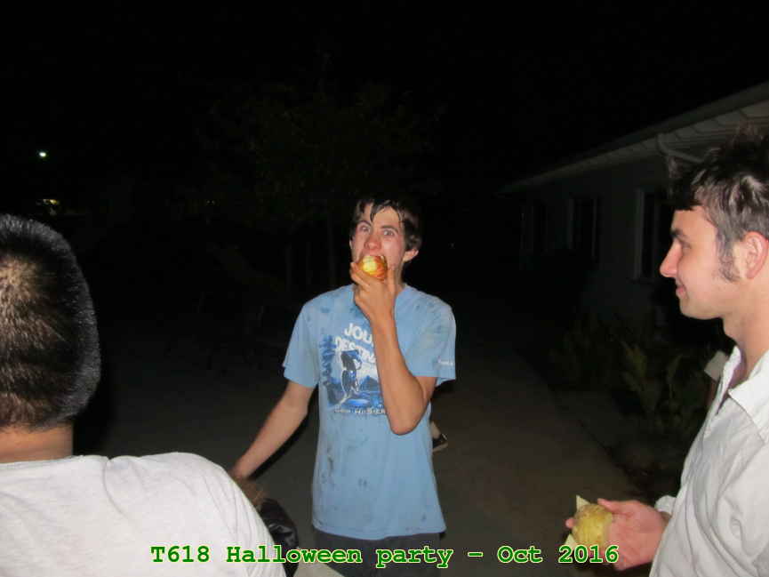 Picture 0013