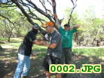 Picture 0002