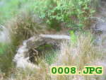Picture 0008