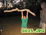 Picture 0015