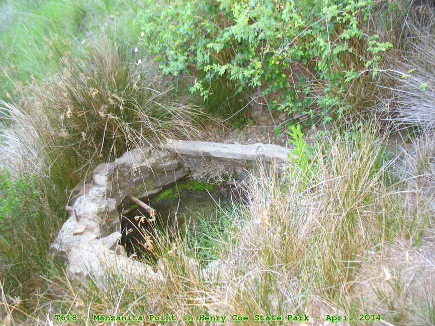 Picture 0008