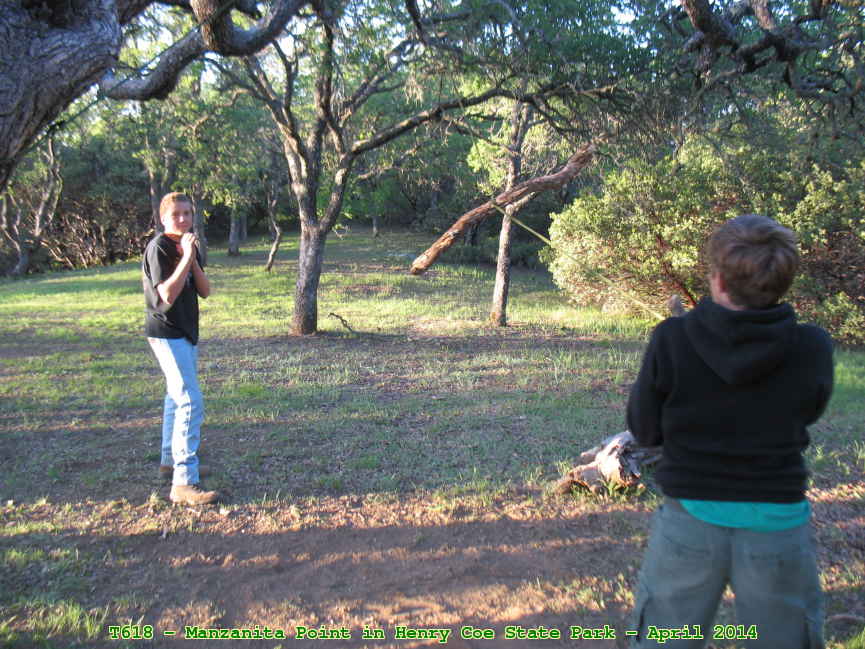 Picture 0013