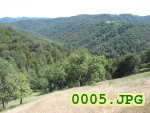 Picture 0005