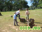 Picture 0009